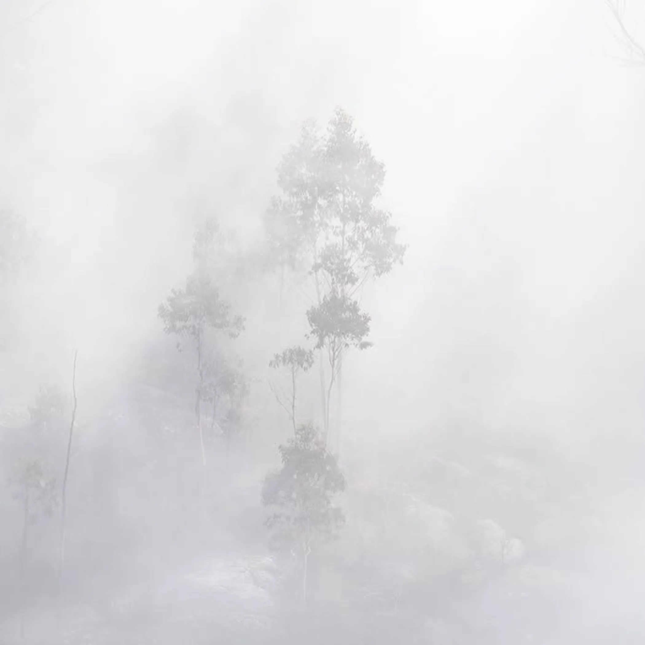 australian national park landscape