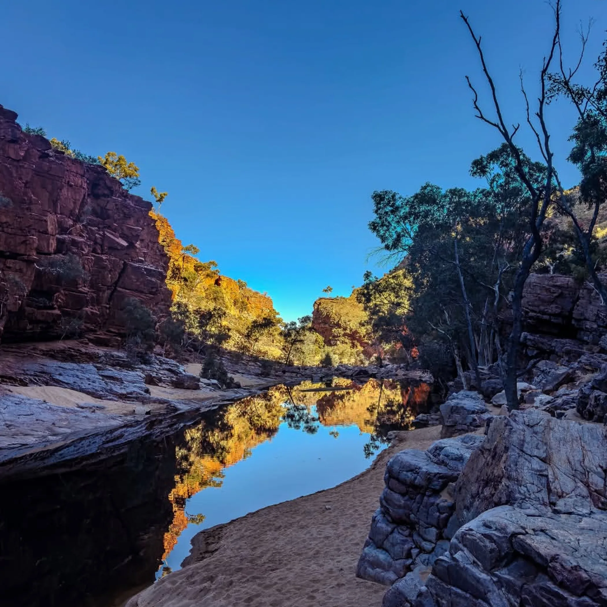 australian national park landscape at dawn or dusk