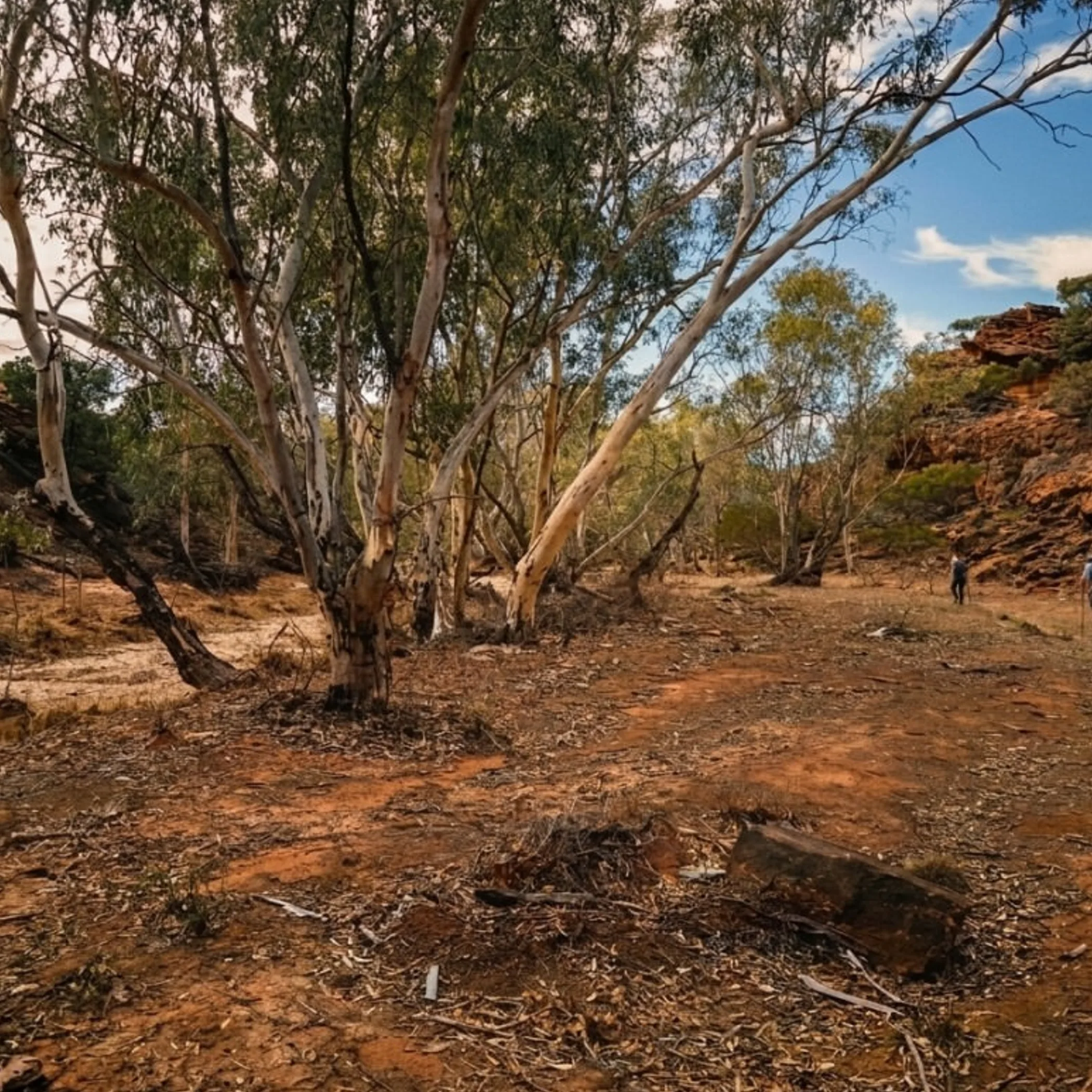 red rocks, river gums, and hikers