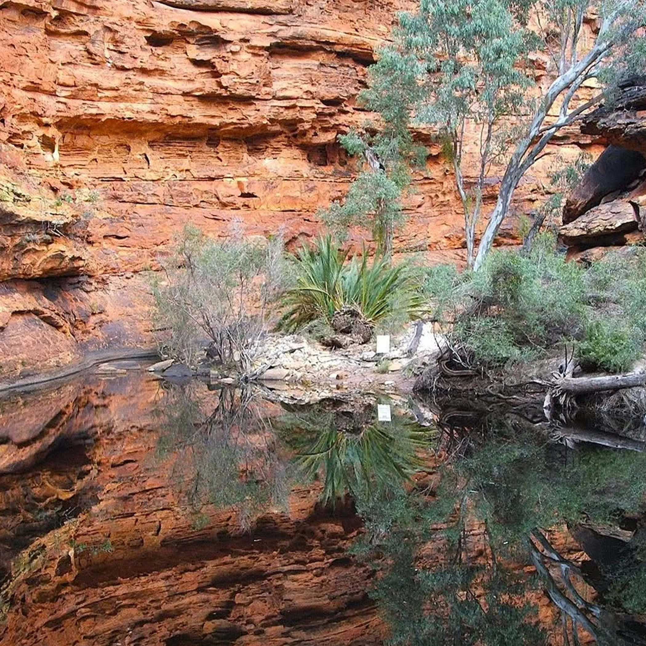 garden of eden outback landscape