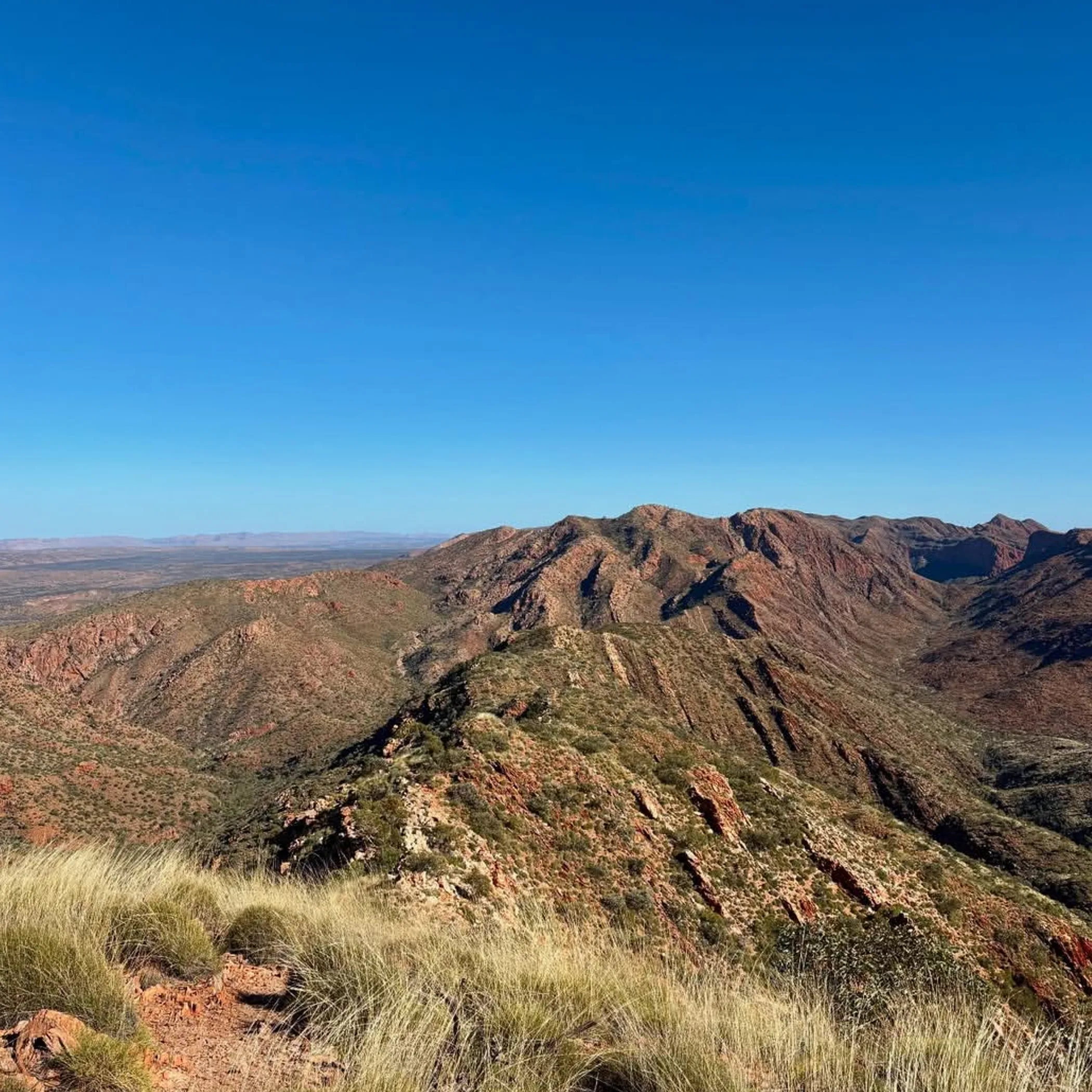 landscape in an australian national park