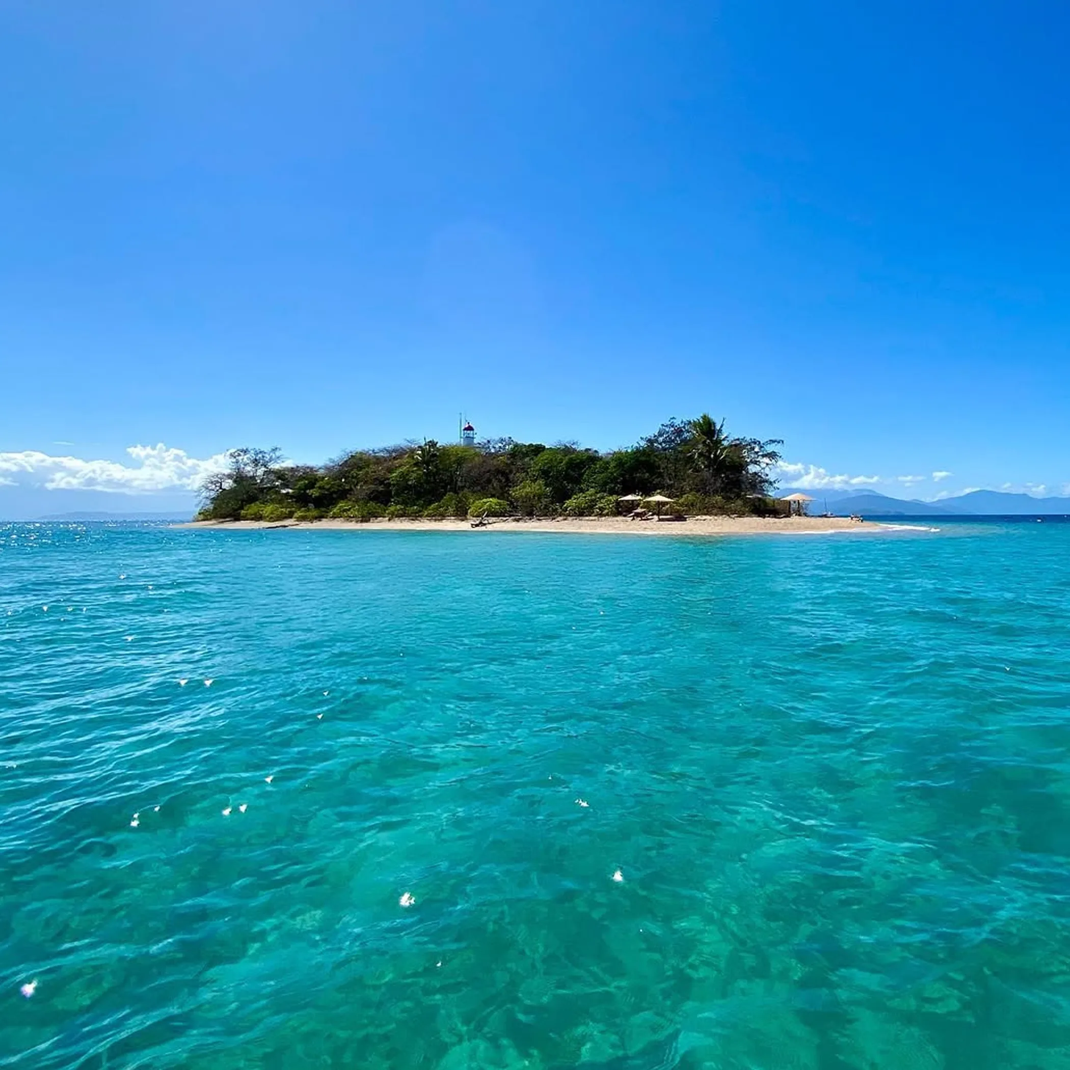 low isles great barrier reef snorkeling