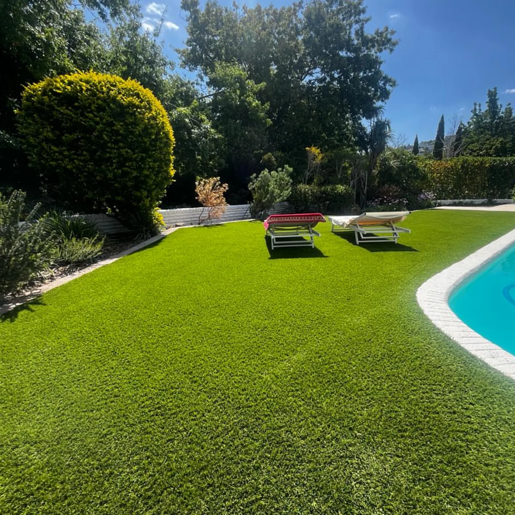 water-efficient garden landscaping solution