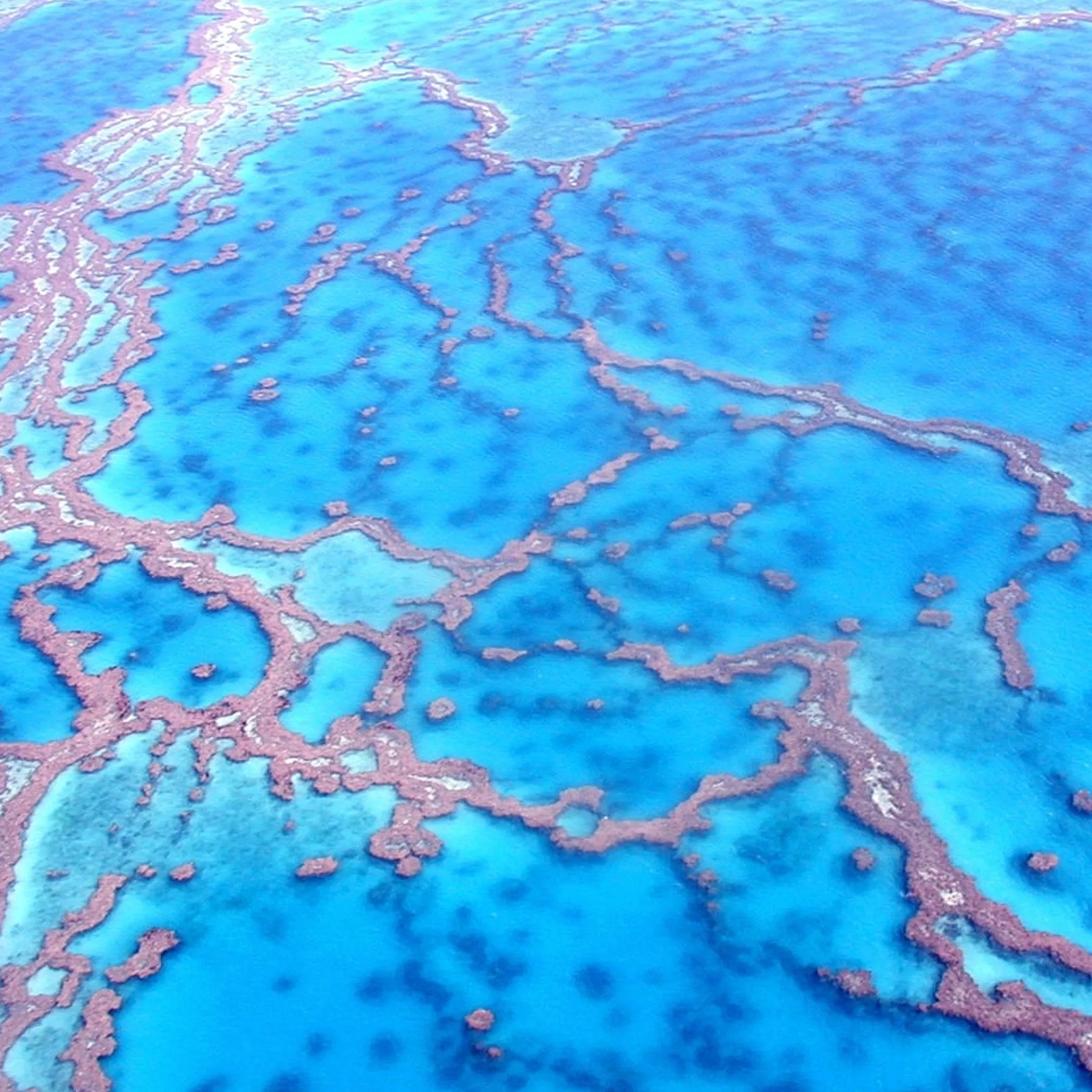 great barrier reef